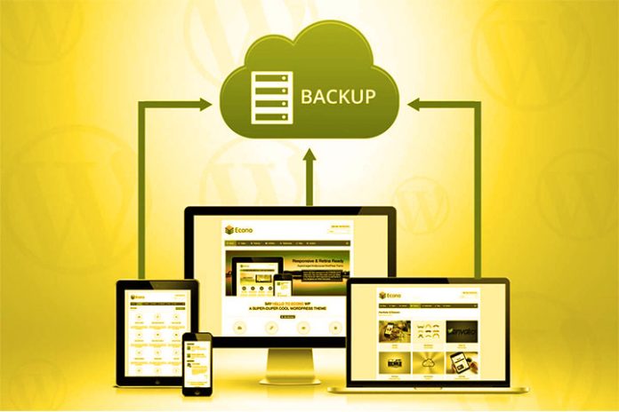 Importance Of Regular Updates And Backups For Your Website