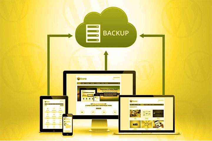 Importance Of Regular Updates And Backups For Your Website